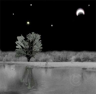 star/ Schattenspiel Tarot Series