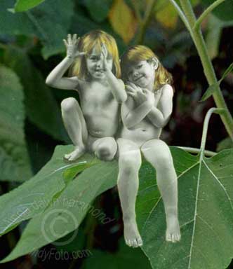 Sun/ Schattenspiel Tarot Series